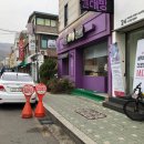 강아지미용실502 이미지