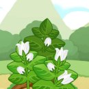 포돌이로 33 이미지