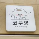 코꾸멍 | 강아지가 너무 좋아하는 애견미용실?! 미용부터 스파, 모든 관리까지! 애견미용실 코꾸멍 솔직후기 :)
