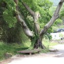 박동철농장 이미지