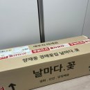 장미하우스 | 꽃] 이브로제 하우스 촬영 준비물 | 실바핑크장미 부케 셀프제작 | 이브로제 하우스 부케 촬영 후기