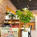 온정손만두 이미지