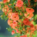 그냥거기 이미지