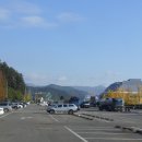 광양사슴농장 이미지