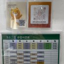 보문역 | 보문역필라테스 5년 이상 된 필라테스라인 보문역점 5:1그룹 필라테스 후기