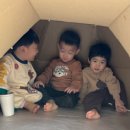 대전청사아람어린이집 이미지