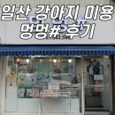 멍멍샾 네이버블로그