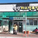 임시버스터미널 시사코리아저널