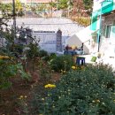 외동부동산공인중개사사무소 이미지