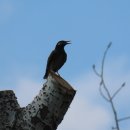 미사숲공원 이미지