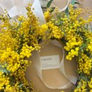 더피우리 이미지