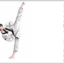 홍인수목토태권도 이미지