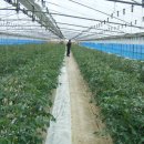 방주농원 이미지