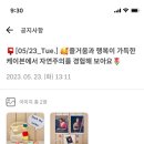 케이븐