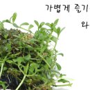 아쿠아유니버스