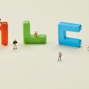 외국어로서의 한국어능력평가론 이미지