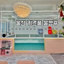 물짱꾸 | 울산 동구 키즈풀 워터룸 물짱꾸 후기