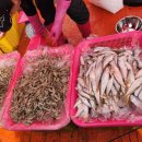 소래로 | 소래포구 난전시장 생새우 구매 후기