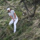 테마골프 이미지