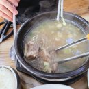 봉숙이 | 태안 밥집 봉숙이네국밥 해장하기 좋은 태안 국밥 맛집, 수제 내장탕과 갈비탕 후기