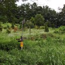 대청호오백리길 찬샘마을길 이미지