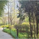 자이부동산합동공인중개사사무소 | 수원의 권선동권선자이, 안전하고 믿을 수 있는 중개 서비스 만나보기!