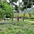 운곡생태습지길 4코스 이미지