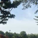 사이언스대덕골프연습장