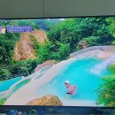 우정투어