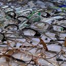 시선안경콘택트 이미지