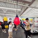 타이틀 복싱클럽(3층) | 조례동 복싱 제대로 배우고 싶다면 타이틀 복싱클럽