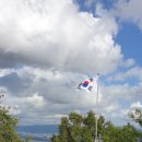 대완