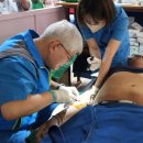 성가롤로병원 이미지