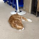 건봉목장 | 2021 하계 내일로 #2 순천 🔜 남원