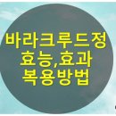 유일비엠에스