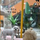 뷰티인독 이미지