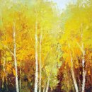 자작나무 이미지