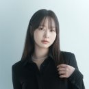 애견동반 춘천미용실 디엔엠헤어 루비실장 (내돈내산)