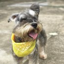 이 가축병원 이미지