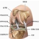 무릎통증.십자인대파열로 관절내시경 수술. 이미지