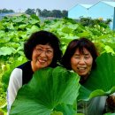 명당농장 이미지