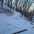 약진로변 이미지