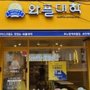 와플대학주례캠퍼스