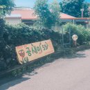 공새미 온 이미지