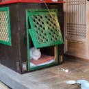 중앙소리방 이미지