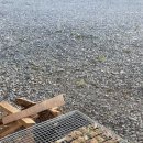 을전56오토캠핑장 이미지