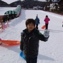 무궁화어린이집 Daum카페