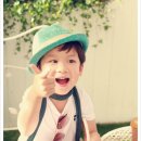 주성민 카카오 검색결과