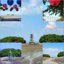 바닷길 풍경 | 태안 안면도 여행 추천 🌊 바닷길 열리는 안면암 부상탑 절경에 반하다(아름여행사)