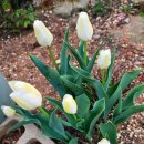 개운농장 이미지